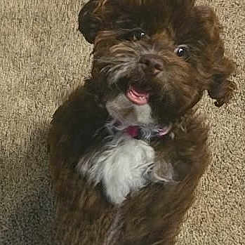 Coco