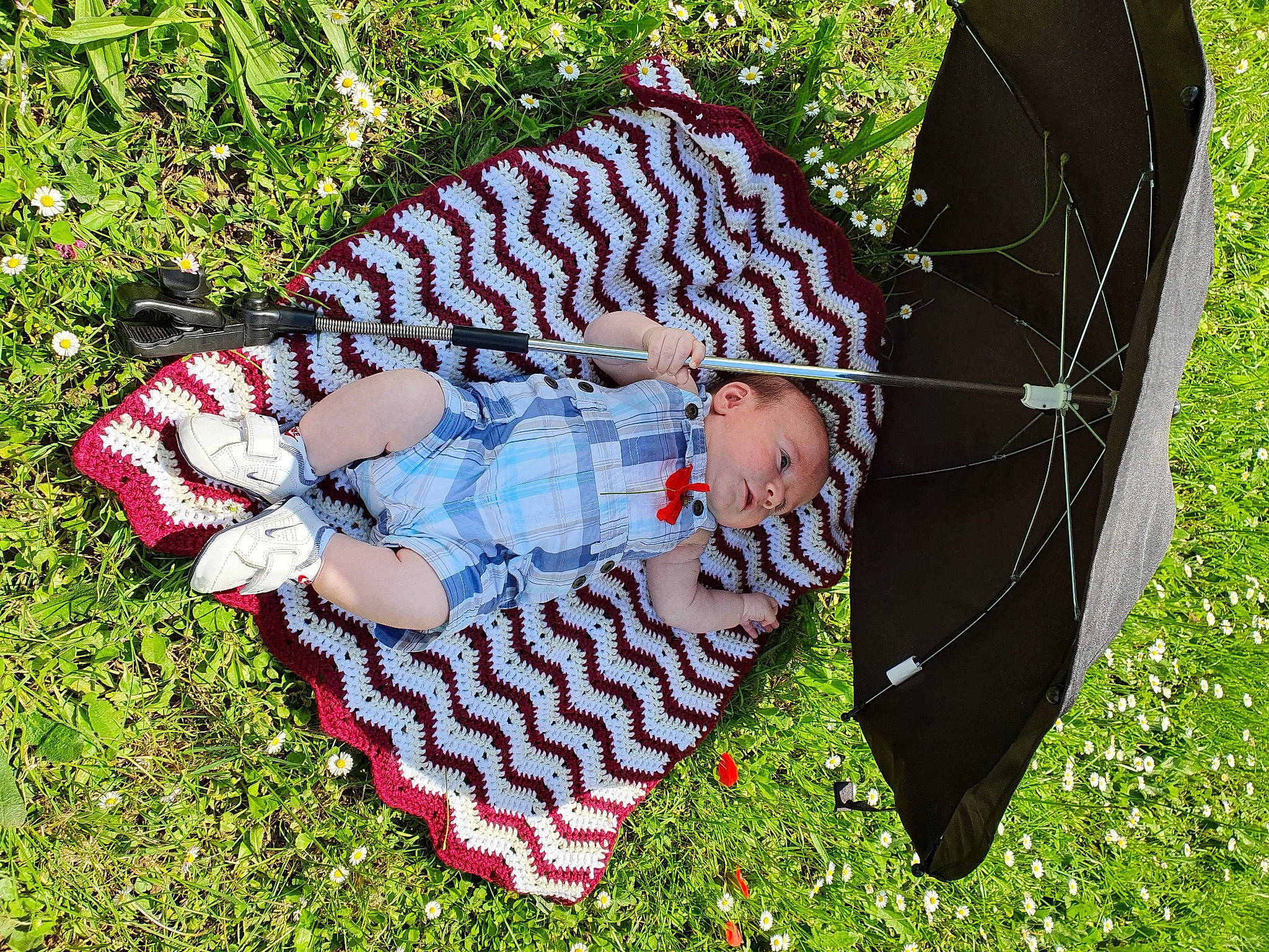 Tiago participe au concours pour gagner de l'argent avec cette photo : fashion_accessory, grass, leaf, pattern, person, plant, summer, tree