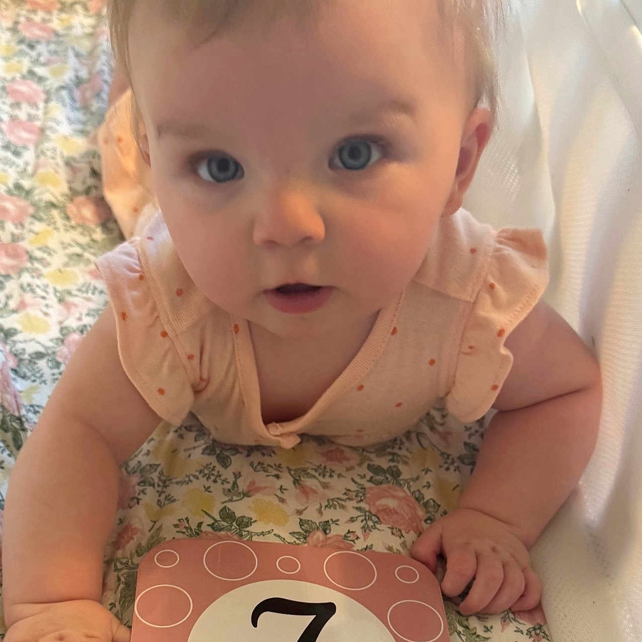 Oakley is registered to the contest to win money with this photo: 7_months, baby, baby_girl, blanket, blue_eyes, bow, child, closeup, cute, face, floral_pattern, hand, indoor, infant, lying_down, milestone_card, person, pink_clothing, portrait, young_child