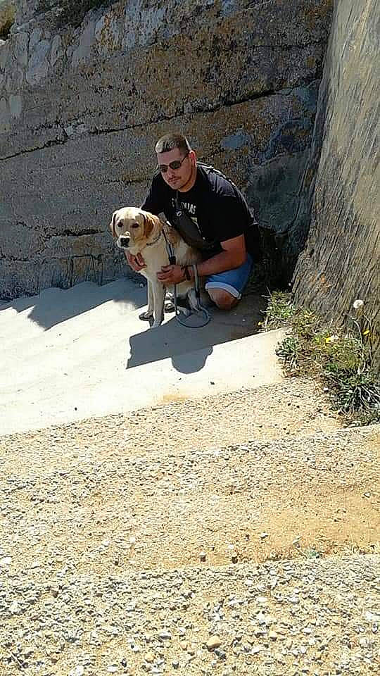 Hercule a rejoint le concours — aidez-le/la à gagner de superbes lots ! adventure, canidae, carnivore, dog, dog_breed, hunting_dog, leash, person, sporting_group