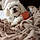 Romeo
