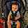 Braxton