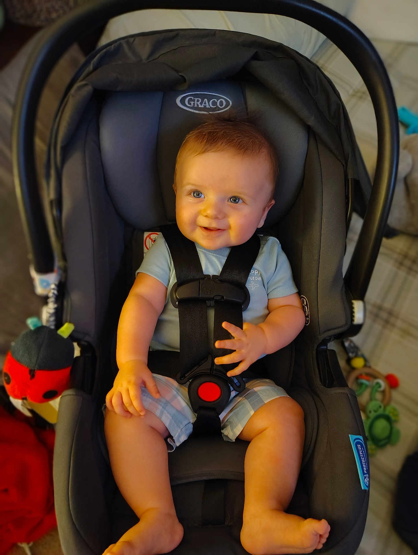Braxton