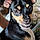 Bruno