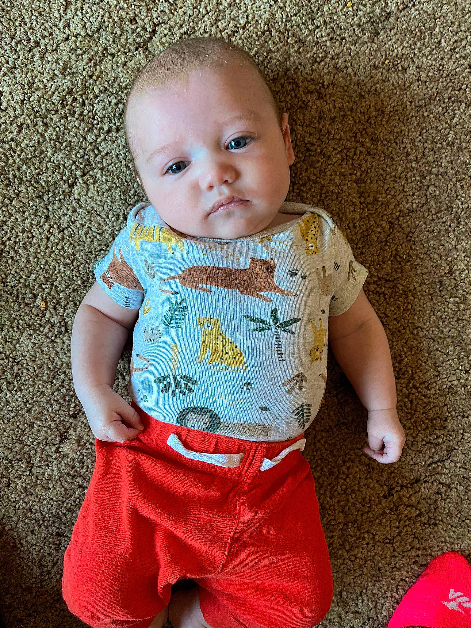 Blake is registered to the contest to win money with this photo: baby, baby_toddler_clothing, carmine, child, collar, electric_blue, facial_expression, happy, head, pajamas, pattern, person, pink, red, sitting, skin, sleeve, t_shirt, toddler, toy