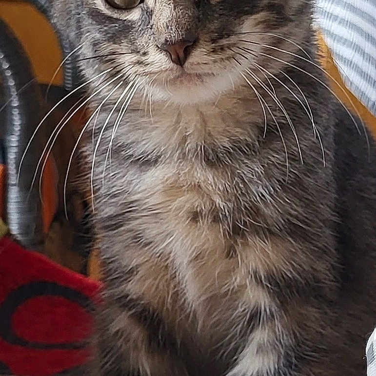 Trésor
