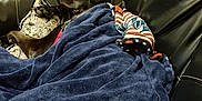 Bear joined the competition — help win amazing prizes! dog, blanket, couch, leather, indoor, relaxed, pet, snuggled, living_room, cozy, furniture, resting, comfortable, canine, domestic_animal, fabric, home, warm, soft, animal