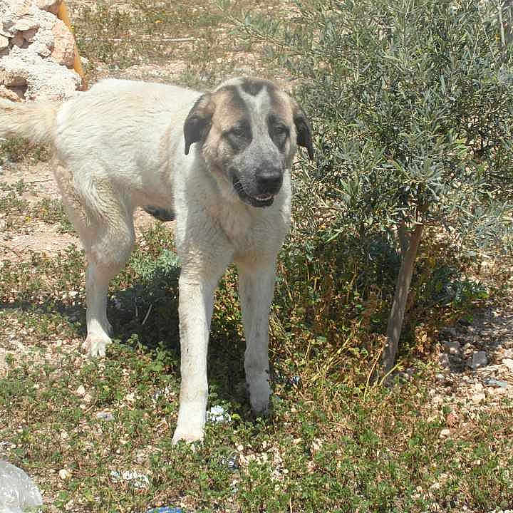 Angel participe au concours pour gagner de l'argent avec cette photo :