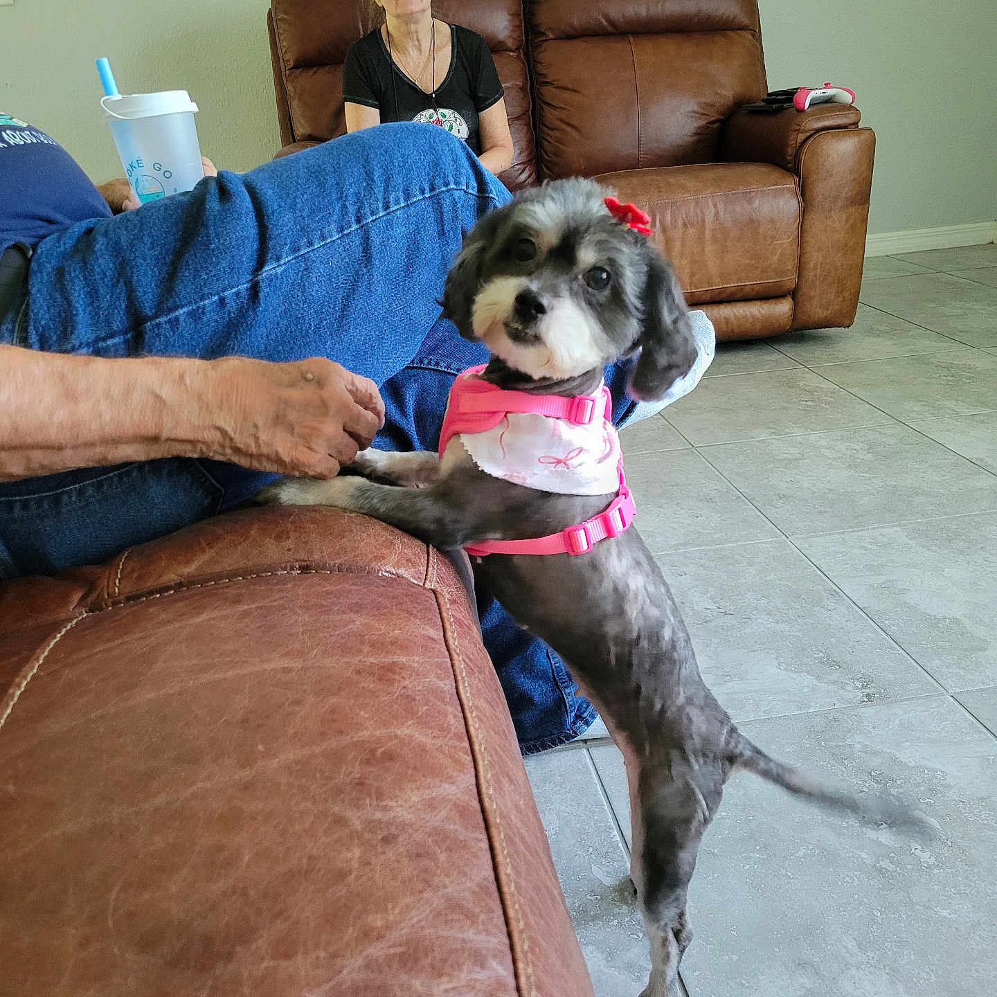 Gracie
