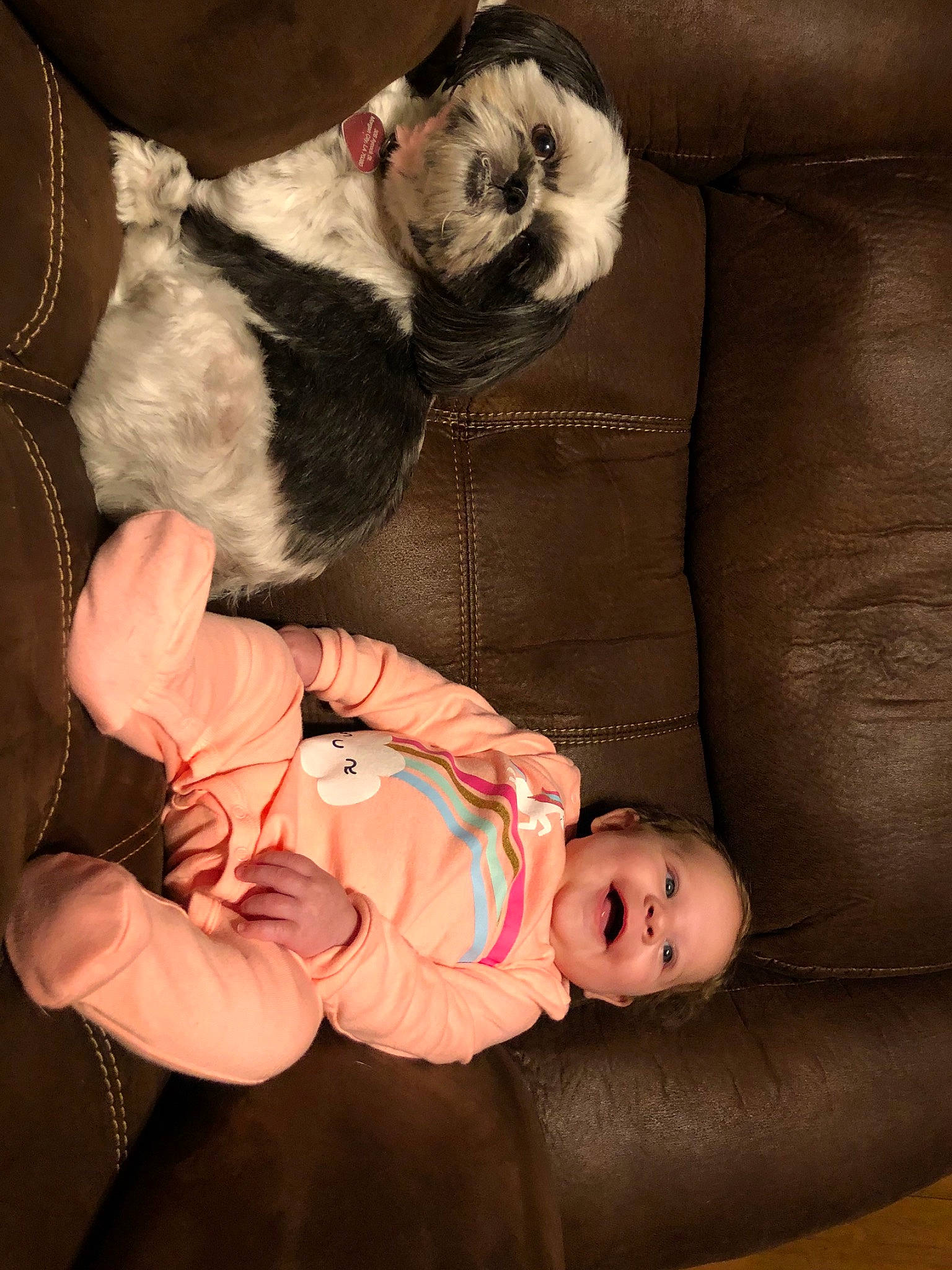 Ava joined the competition — help win amazing prizes! baby, canidae, child, companion_dog, fawn, fur, person, puppy_love, toddler