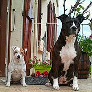 Bagerra a rejoint le concours — aidez-le/la à gagner de superbes lots !