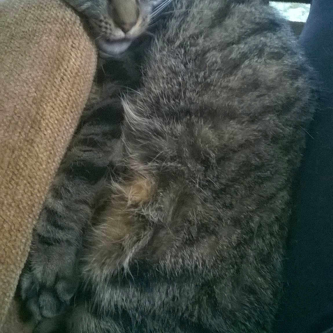 Jack joined the competition — help win amazing prizes!