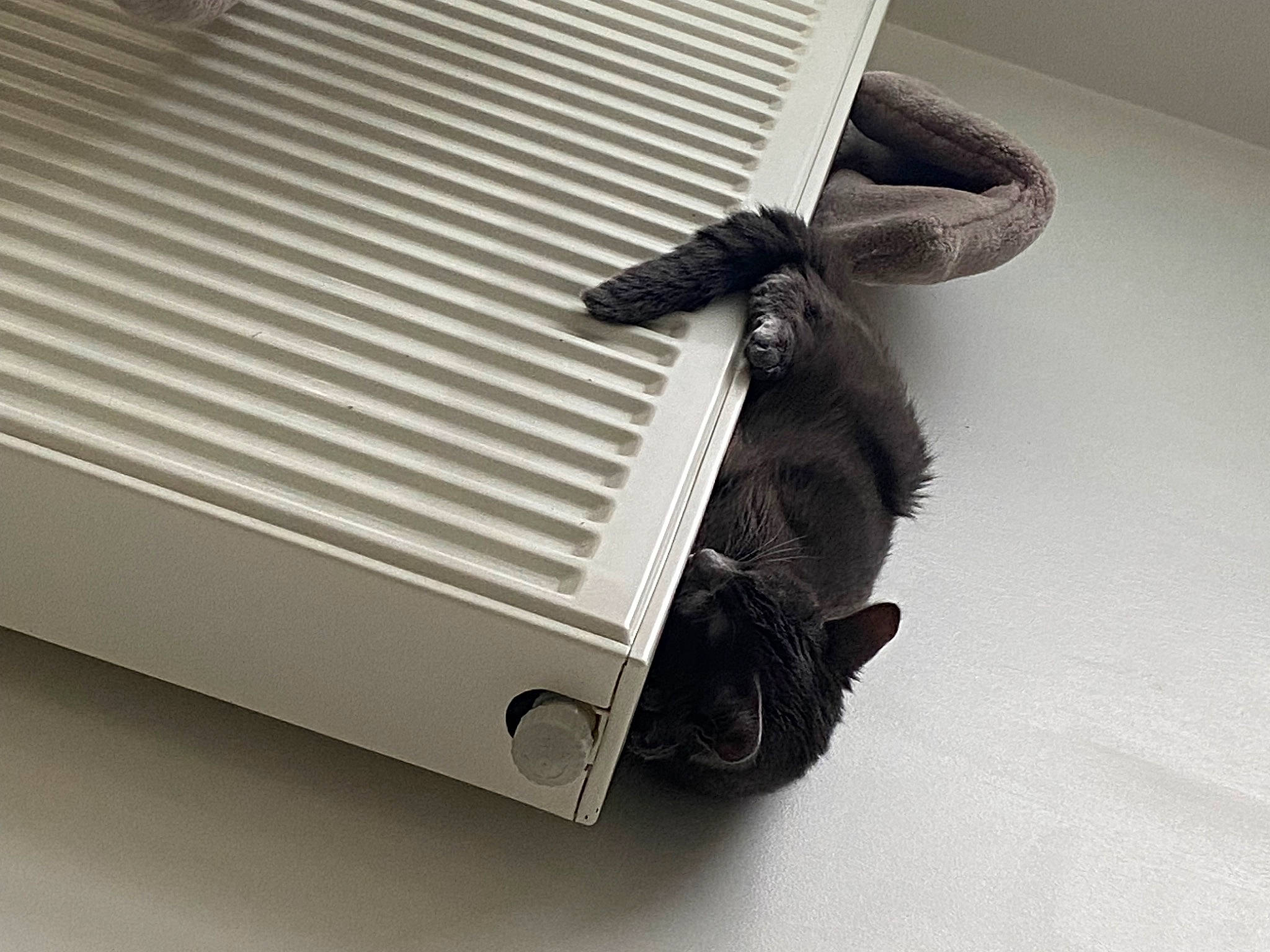 Trèfle a rejoint le concours — aidez-le/la à gagner de superbes lots ! automotive_exterior, automotive_lighting, bumper, cylinder, fashion_accessory, flooring, gas, grille, machine, metal, monochrome, monochrome_photography, office_equipment, paper, rectangle, room, shadow, steel, still_life_photography, wood