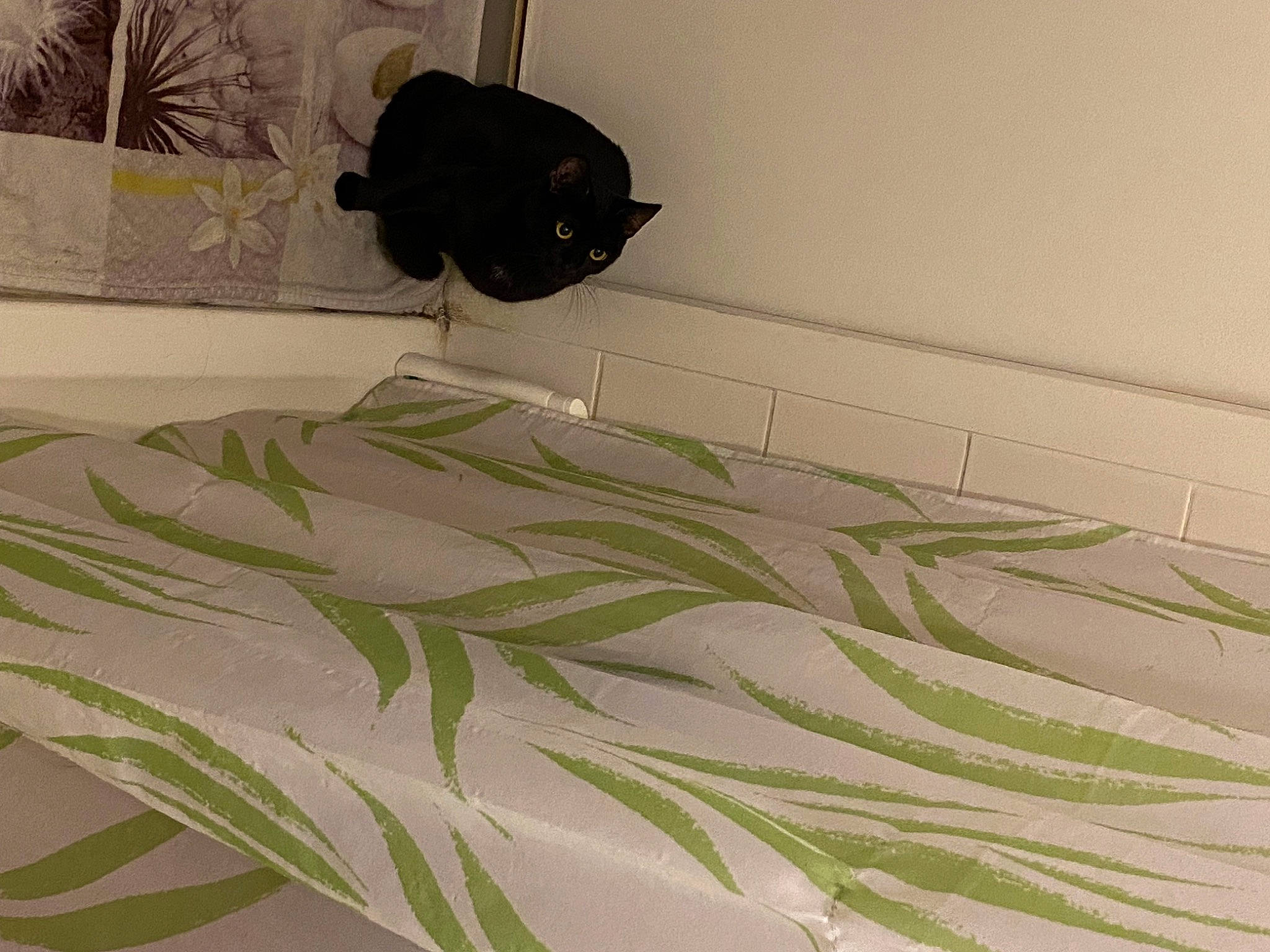 Télya participe au concours pour gagner de l'argent avec cette photo : art, bedding, design, feather, flooring, flower, flowering_plant, grass, herb, linens, paper, pattern, perching_bird, plant, rectangle, room, terrestrial_plant, twig, visual_arts, wood