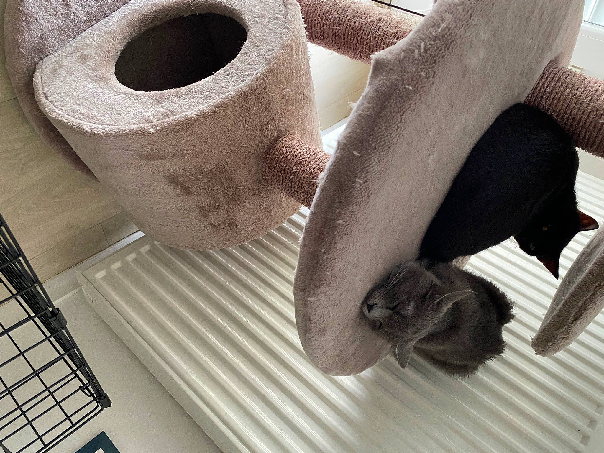 Télya participe au concours pour gagner de l'argent avec cette photo : artifact, auto_part, black, comfort, elbow, fashion_accessory, flooring, household_supply, human_leg, light, linens, metal, paper, paper_towel, plumbing, room, synthetic_rubber, tissue_paper, toilet_paper, wood