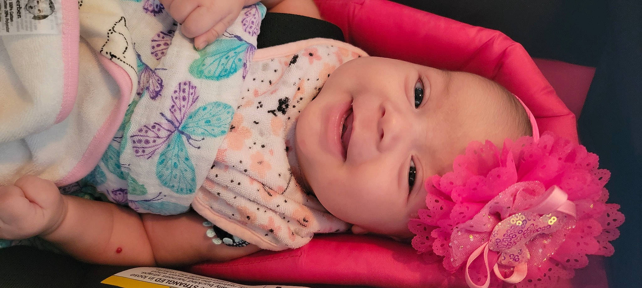 Graciela is registered to the contest to win money with this photo: arm, baby_toddler_clothing, cheek, eyelash, finger, flower, hand, happy, head, headgear, headwear, lip, mouth, muscle, neck, nose, organ, person, pink, plant