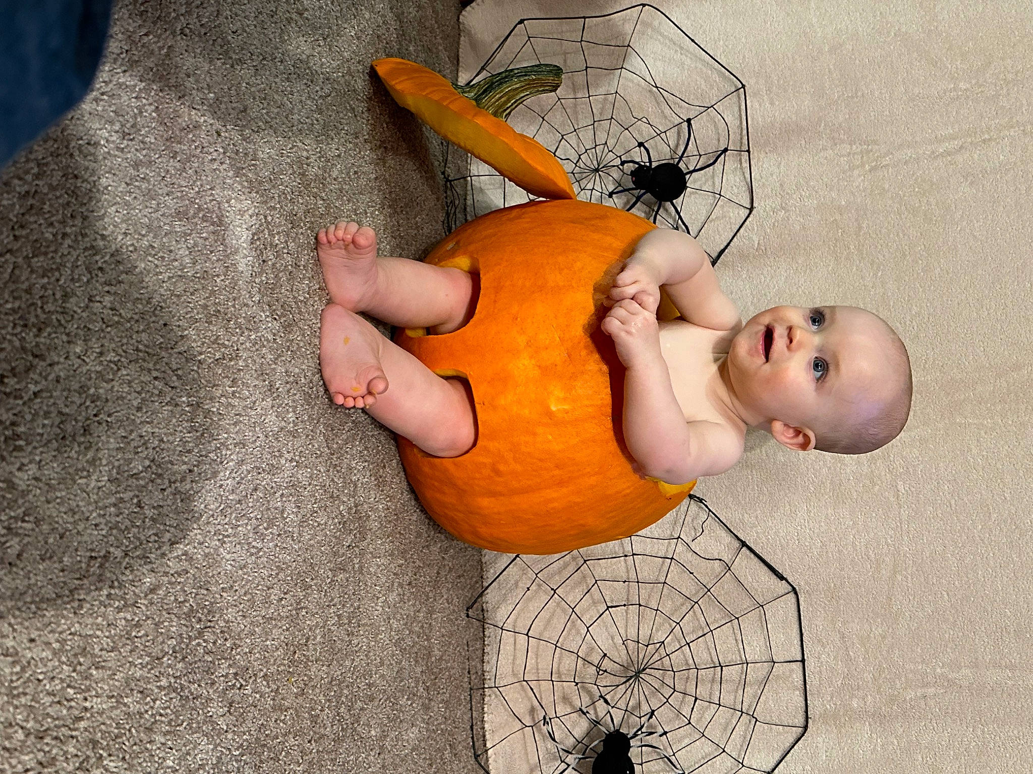 Steven joined the competition — help win amazing prizes! art, baby, calabaza, child, cucurbita, finger, gesture, gourd, human_body, musical_instrument, orange, person, pumpkin, squash, string_instrument, stuffed_toy, thumb, toy, vegetable, winter_squash