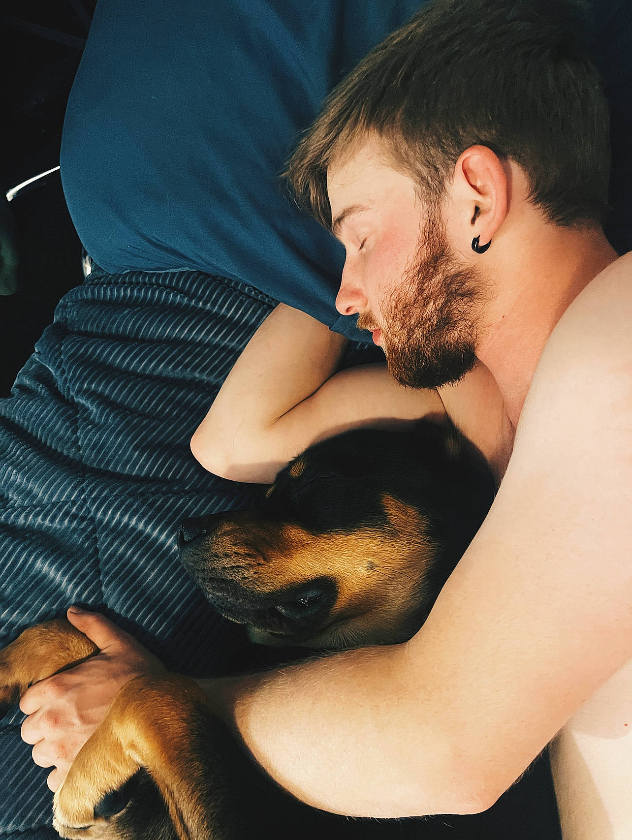 Odie joined the competition — help win amazing prizes! arm, beard, black_hair, carnivore, comfort, companion_dog, dog, dog_breed, ear, elbow, fawn, flash_photography, gesture, hand, happy, interaction, joint, muscle, snout, trunk