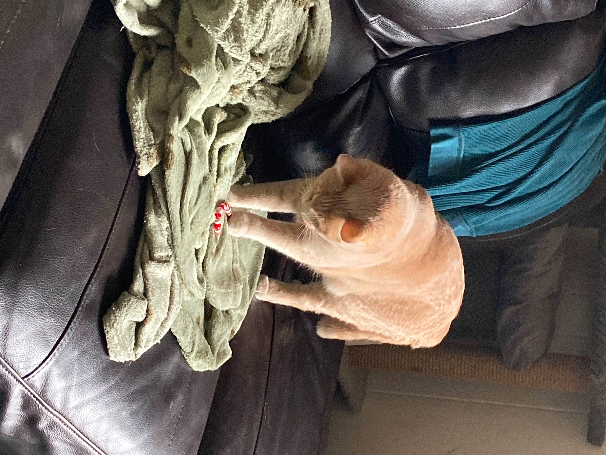 Biggie joined the competition — help win amazing prizes! art, auto_part, automotive_design, automotive_lighting, automotive_wheel_system, car, flesh, gesture, glass, human_leg, jaw, luxury_vehicle, nail, tints_and_shades, tree, vehicle_door, visual_arts, window, wood, wrinkle