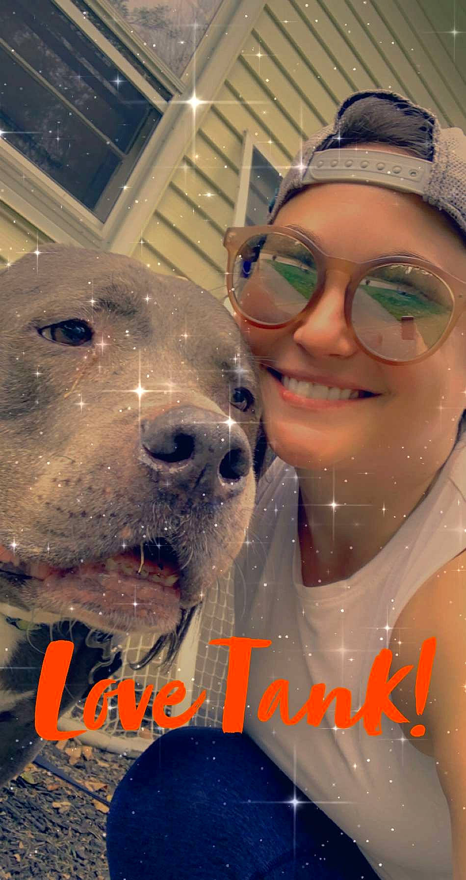 Tank is registered to the contest to win money with this photo: canidae, carnivore, cool, dog, dog_breed, eyewear, fawn, fun, nose, photography, selfie, smile, snout