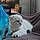 Albus