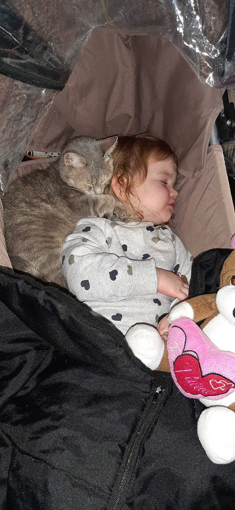 Swanny participe au concours pour gagner de l'argent avec cette photo : baby, baby_products, baby_toddler_clothing, cheek, child, comfort, felidae, fur, lap, linens, nap, pattern, person, room, sitting, sleep, sleeve, small_to_medium_sized_cats, sock, toddler