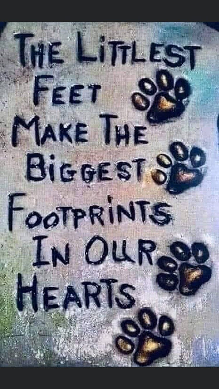 Korrah joined the competition — help win amazing prizes! art, font, handwriting, ink, number, signage, visual_arts, wall, writing