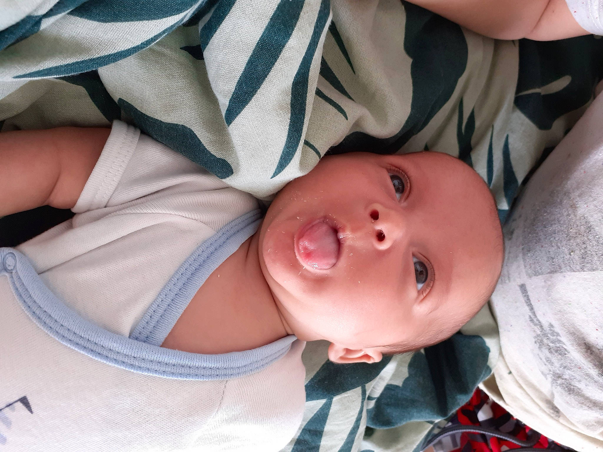 Leeroy a rejoint le concours — aidez-le/la à gagner de superbes lots ! arm, baby, baby_products, baby_toddler_clothing, cheek, child, chin, comfort, eye, face, facial_expression, head, iris, lip, mouth, nose, person, product, skin, sleeve