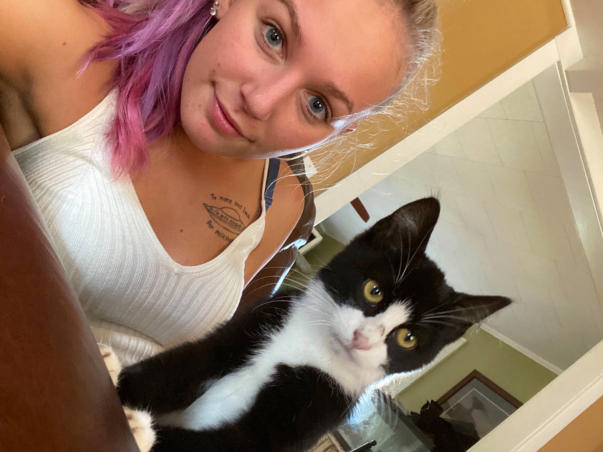 Lil Dickie is registered to the contest to win money with this photo: carnivore, cat, comfort, eye, eyebrow, eyelash, felidae, hair, happy, head, iris, jaw, jewellery, neck, organ, skin, small_to_medium_sized_cats, smile, whiskers, white