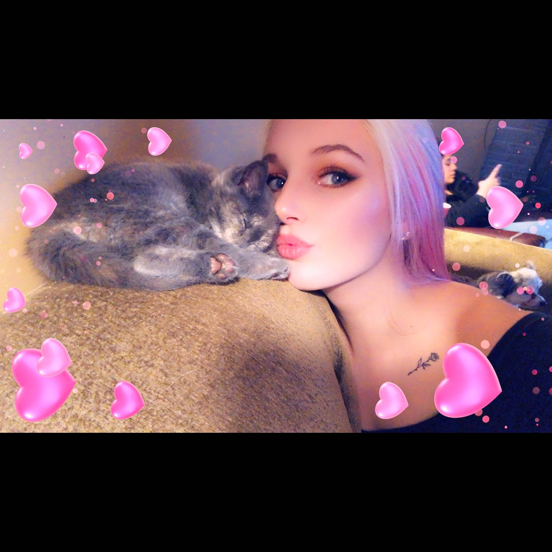 Pusheen is registered to the contest to win money with this photo: art, black_hair, cg_artwork, companion_dog, event, eyelash, fawn, fur, happy, illustration, lip, magenta, pattern, petal, photo_caption, pink, skin, toy, visual_arts, whiskers