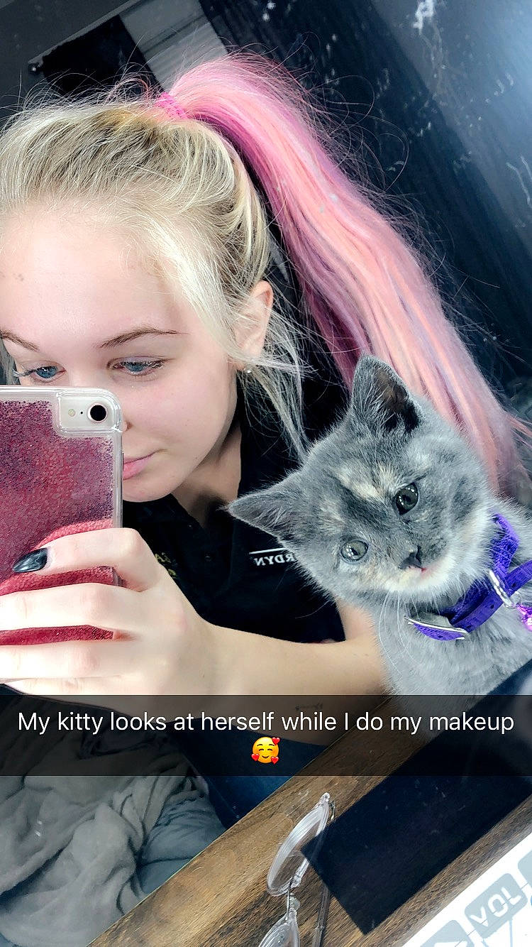 Pusheen joined the competition — help win amazing prizes! art, carnivore, cat, child, communication_device, event, eyelash, facial_expression, felidae, happy, iris, lip, long_hair, mobile_phone, photograph, pink, portable_communications_device, small_to_medium_sized_cats, telephony, whiskers