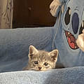 Michal M.