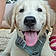 Baloo