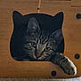 cat, tabby, paw, wooden_box, cat_shaped_hole, curious, pet, indoor, feline, animal, cozy, resting, fur, whiskers, closeup, cute, eyes, shelter, relaxed, home