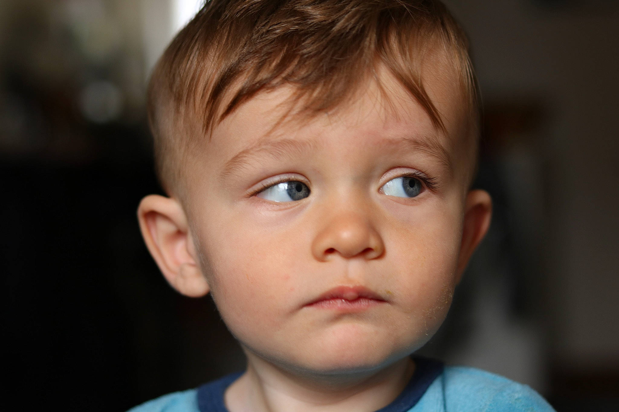 Téo participe au concours pour gagner de l'argent avec cette photo : boy, cheek, child, chin, close_up, ear, eye, eyebrow, face, forehead, head, human, infant, nose, person, portrait, portrait_photography, skin, smile, toddler
