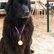 NIKY participe au concours pour gagner de l'argent avec cette photo :