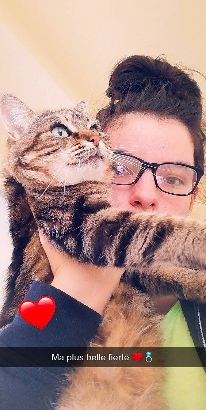 Mémère a rejoint le concours — aidez-le/la à gagner de superbes lots ! beard, carnivore, cat, eyewear, facial_hair, felidae, fur, gesture, glasses, kitten, moustache, nose, photo_caption, photography, selfie, small_to_medium_sized_cats, whiskers