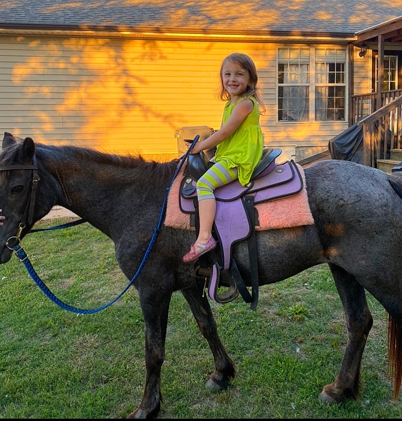 Karoline joined the competition — help win amazing prizes! animal_sports, bridle, equestrianism, halter, horse, horse_supplies, horse_tack, horse_trainer, joy, mammal, mane, mare, organism, pack_animal, person, recreation, rein, saddle, sky, trail_riding