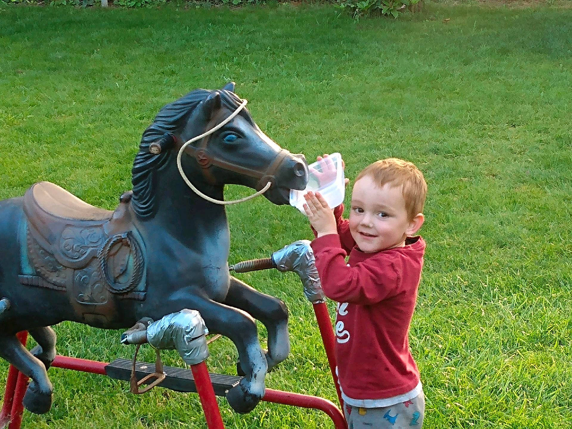 Luis is registered to the contest to win money with this photo: bridle, child, fun, grass, grassland, green, happy, horse, horse_supplies, horse_tack, joy, leisure, mane, mare, pack_animal, person, recreation, shorts, smile, t_shirt