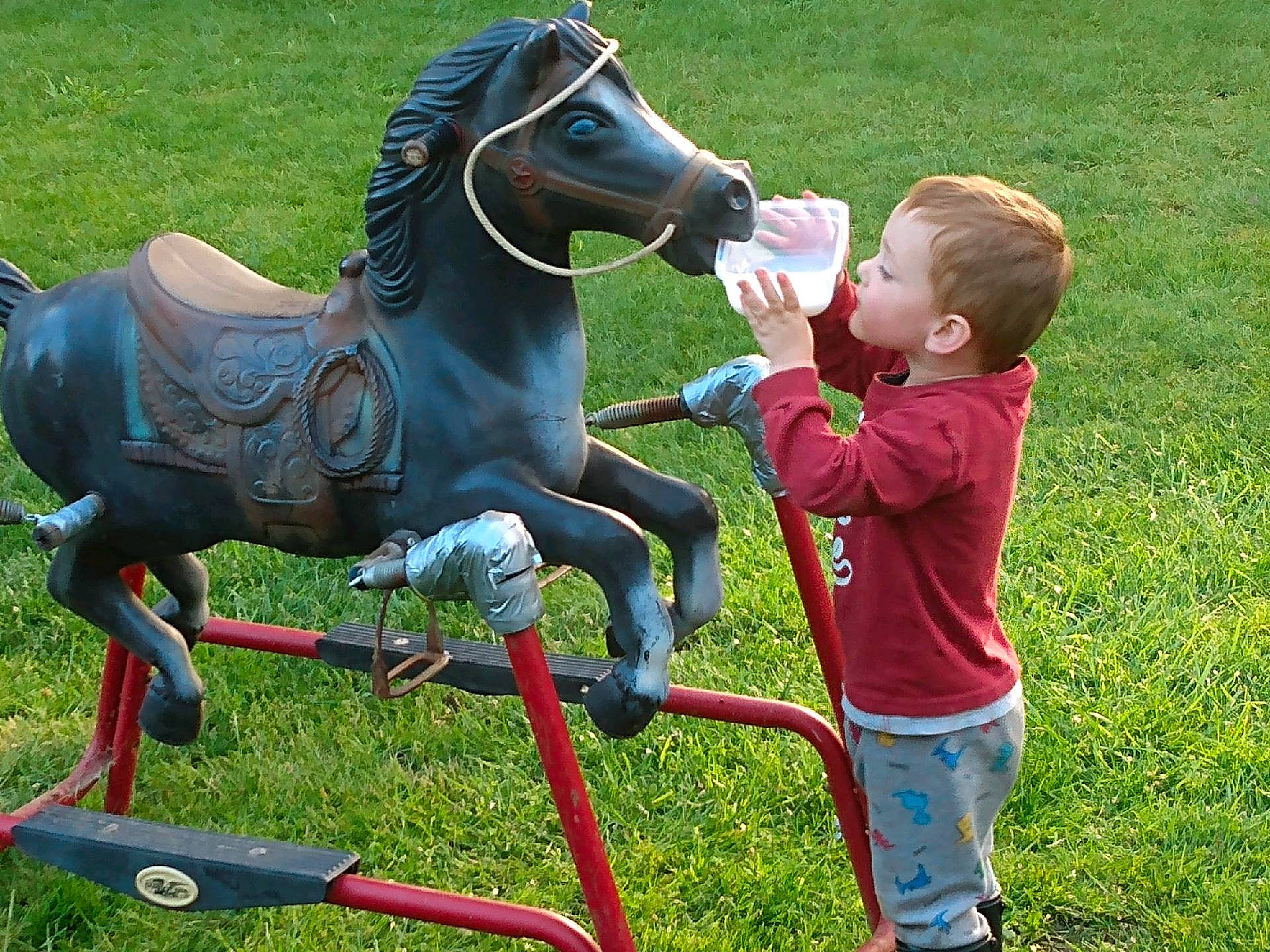 Luis is registered to the contest to win money with this photo: bridle, child, fun, grass, grassland, horse, horse_supplies, horse_tack, leisure, livestock, mane, mare, pack_animal, person, playground, recreation, rein, stallion, t_shirt, toddler