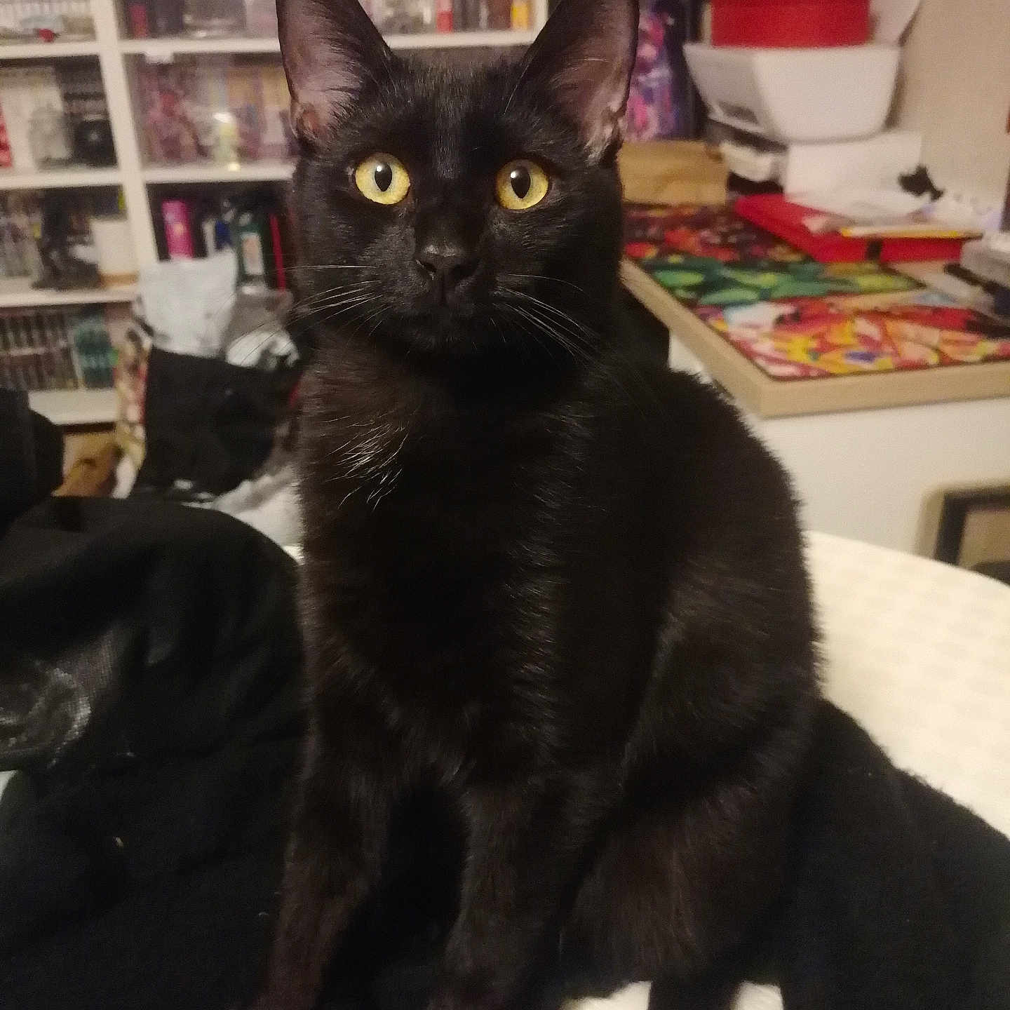 Blitzo