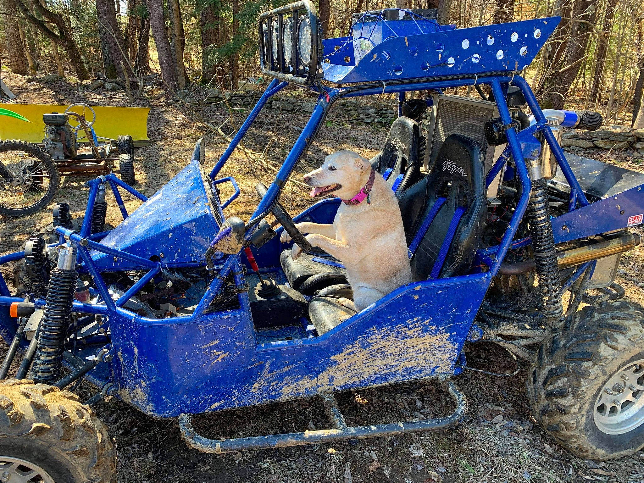 Dayzee joined the competition — help win amazing prizes! auto_part, automotive_design, automotive_exterior, automotive_tire, automotive_wheel_system, bumper, car, fender, hood, kit_car, mode_of_transport, motor_vehicle, plant, rim, synthetic_rubber, tire, tread, tree, vehicle, wheel