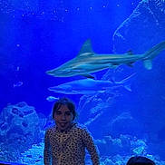 Luna a rejoint le concours — aidez-le/la à gagner de superbes lots ! child, girl, aquarium, shark, fish, underwater, tank, blue, smile, railing, rocks, marine_life, water, leisure, indoor, casual_clothing, animal, young_person, tourist, exhibit