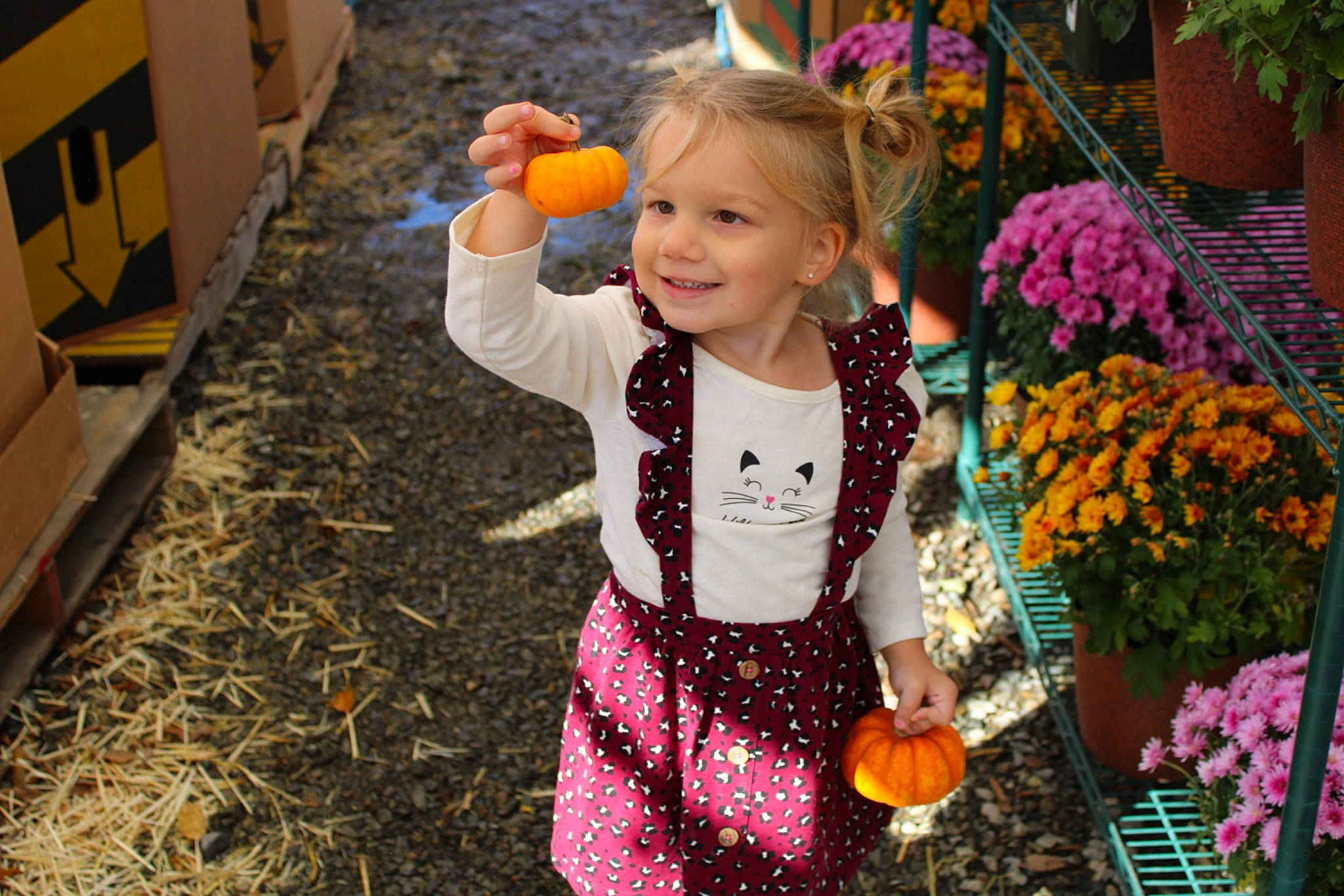 Addelynn joined the competition — help win amazing prizes! baby_toddler_clothing, calabaza, eye, face, flower, fun, grass, happy, iris, joy, leaf, leisure, mammal, orange, people_in_nature, person, photograph, plant, pumpkin, smile