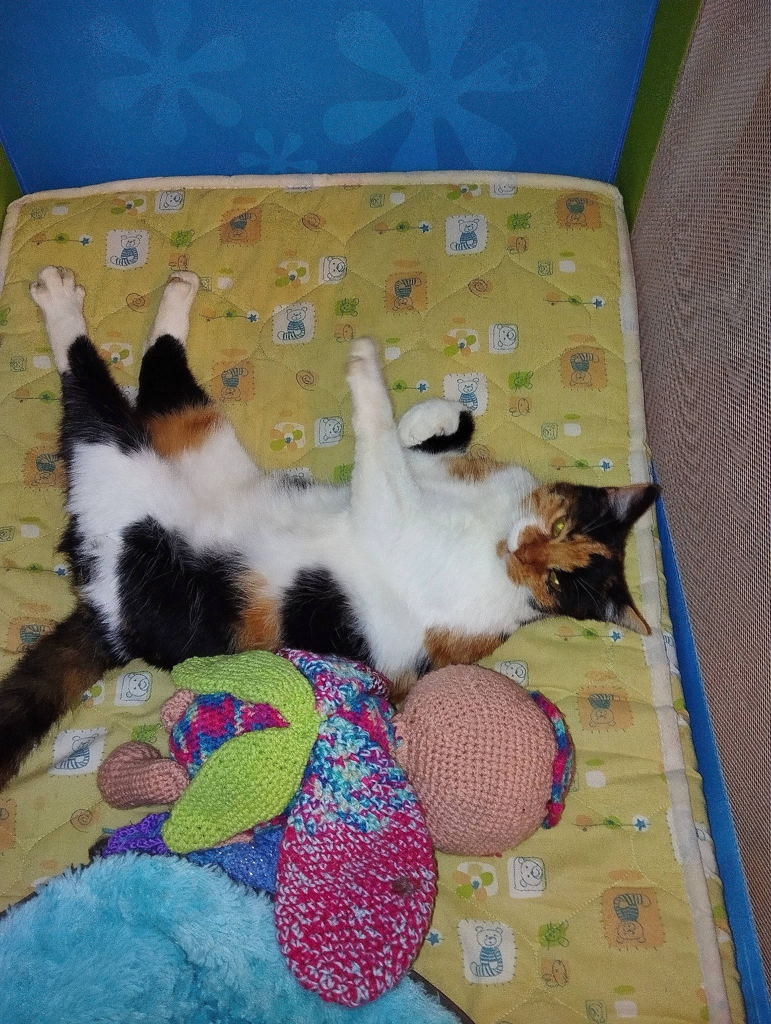 Naïsse participe au concours pour gagner de l'argent avec cette photo : canidae, carnivore, cat, cat_supply, comfort, companion_dog, dog_breed, domestic_short_haired_cat, fawn, felidae, flooring, fur, linens, nap, pattern, room, small_to_medium_sized_cats, tail, textile, whiskers