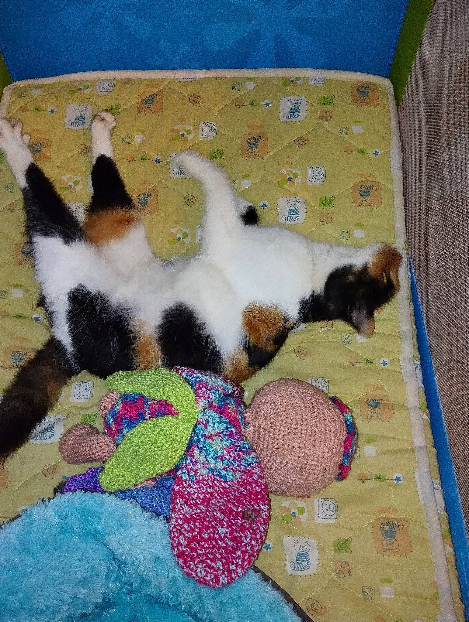 Naïsse a rejoint le concours — aidez-le/la à gagner de superbes lots ! art, carnivore, cat, comfort, companion_dog, craft, creative_arts, dog_breed, felidae, flooring, fur, linens, nap, pattern, paw, room, small_to_medium_sized_cats, tail, toy, whiskers