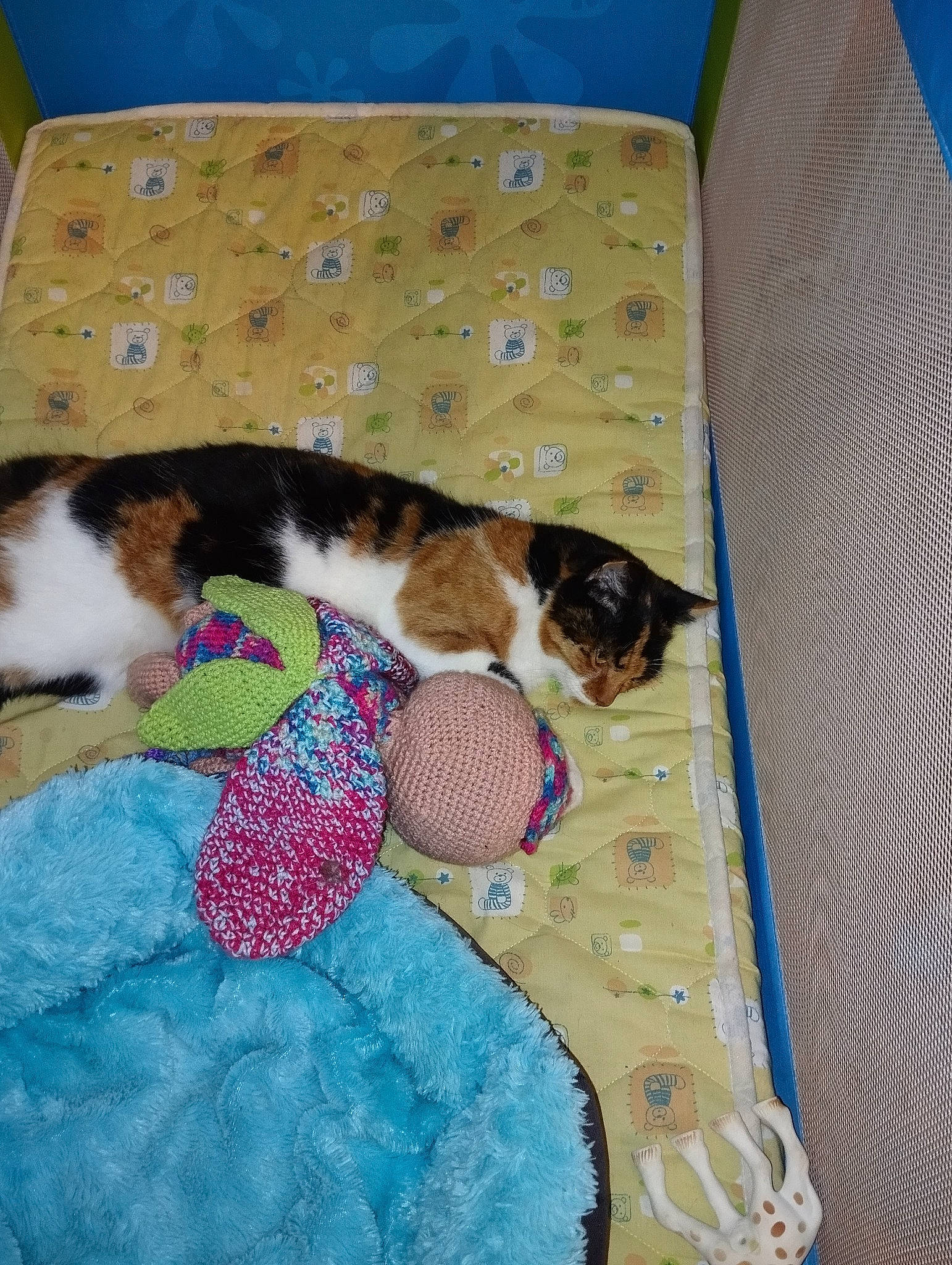 Naïsse a rejoint le concours — aidez-le/la à gagner de superbes lots ! bed_sheet, bedding, box, carnivore, cat, cat_supply, comfort, domestic_short_haired_cat, felidae, fur, linens, pattern, pet_supply, quilt, rectangle, room, small_to_medium_sized_cats, tail, textile, whiskers