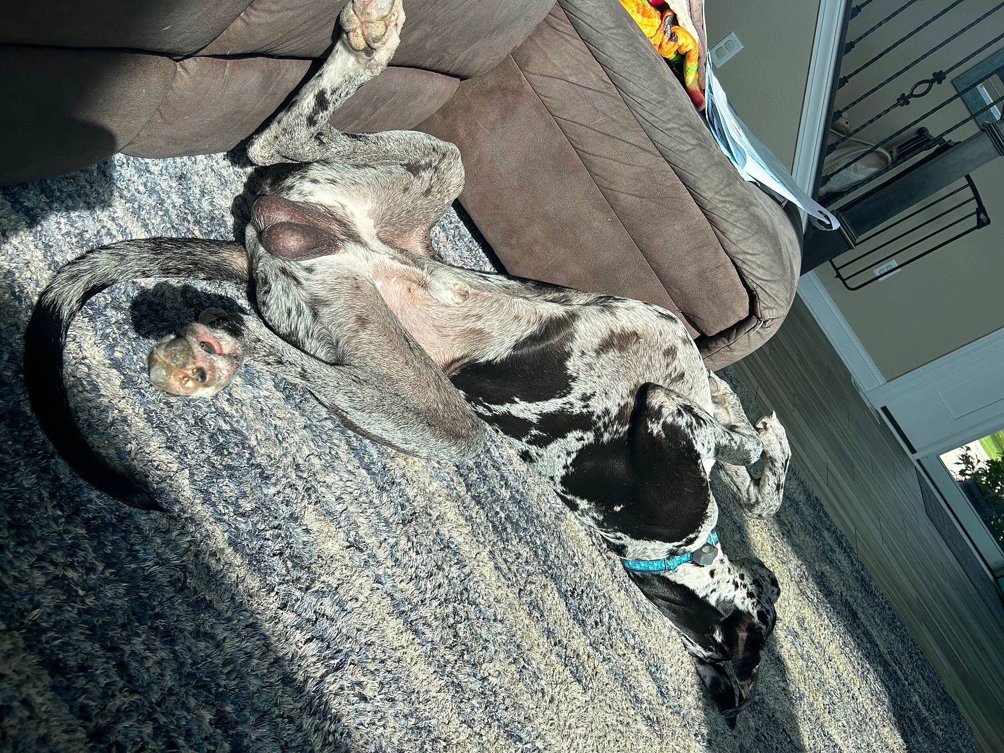 Lincoln joined the competition — help win amazing prizes! asphalt, auto_part, automotive_design, automotive_exterior, automotive_lighting, automotive_tire, automotive_wheel_system, bumper, carmine, fender, hood, human_leg, motor_vehicle, road_surface, space, tints_and_shades, tree, trunk, vehicle_door, wood