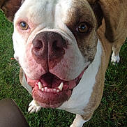 Aspyn is registered to the contest to win money with this photo: