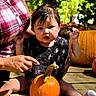baby, child, pumpkin, autumn, halloween, outdoor, porch, wooden_deck, garden, foliage, plaid_shirt, skeleton_pattern, infant, sitting, waving, smiling, portrait, family, daylight, seasonal